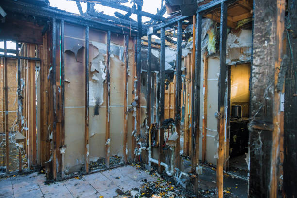 Professional Fire Damage Removal technician working in Champlin, MN